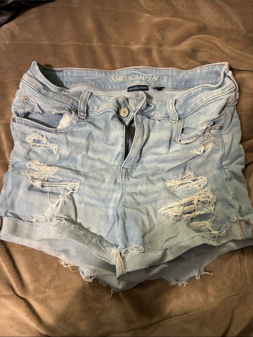 American Eagle Outfitters Light Wash Distressed Denim Shorts
